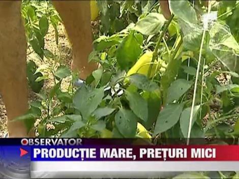 Productie mare, preturi mici