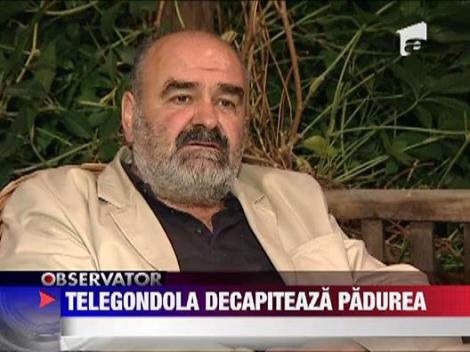 Defrisari masive in Rezervatia Rarau pentru a face loc unei partii