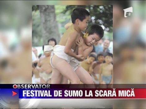 Festival de sumo in Japonia