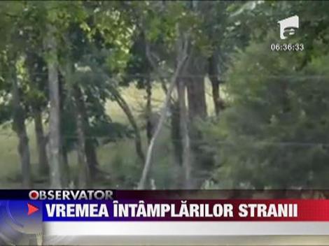 Intamplari stranii din cauza caldurii