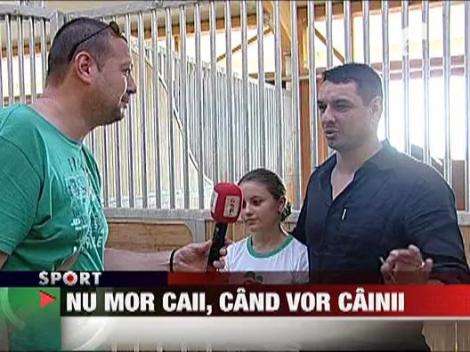 Ionel Ganea vrea sa antreneze Dinamo