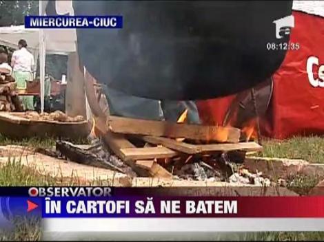 Concurs de gatit cartofi in Miercurea Ciuc