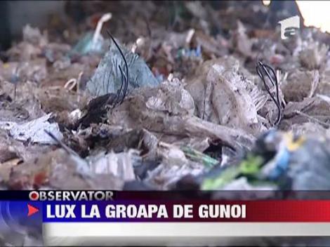Surprize la groapa de gunoi