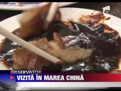 Emil Boc, vizita de lucru in China