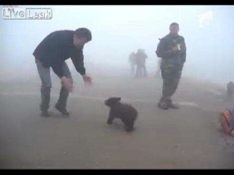Cel mai fioros urs din Rusia