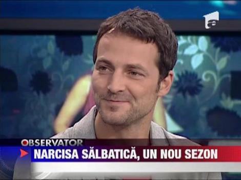 Narcisa Salbatica, un nou sezon