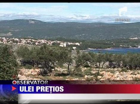 Cel mai bun ulei de masline