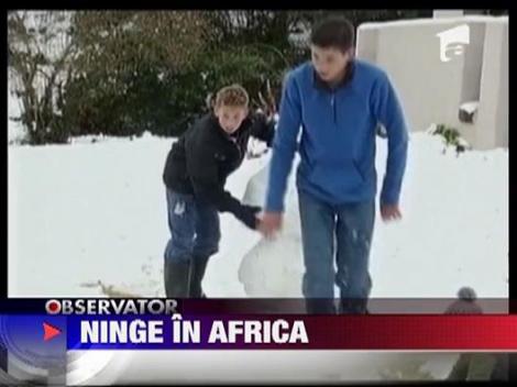 Ninge in Africa