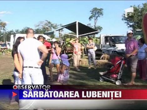 Festival dedicat lubenitei