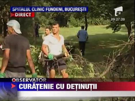 Curatenie cu detinuti in Bucuresti