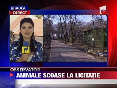 Sute de animale de la gradina zoologica Oradea, scoase la licitatie