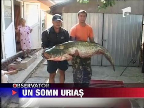 Captura record la pescuit