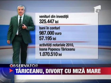 Avere mare de impartit intre sotii Tariceanu