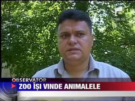 Sute de animale de la gradina zoologica Oradea, scoase la licitatie