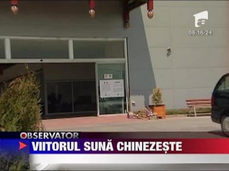 Chineza, limba viitorului