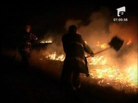 Incendiu de vegetatie in Vadu