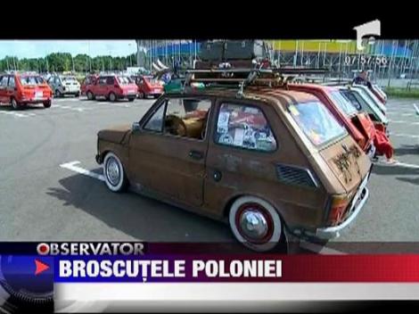 Parada broscutelor poloneze