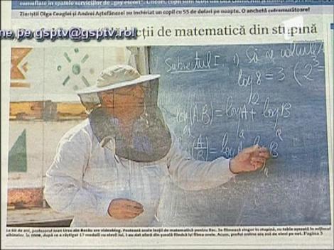 Lectii de matematica din stupina