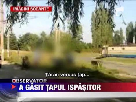 IMAGINI SOCANTE! A gasit tapul ispasitor