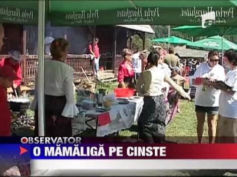 Festivalul mamaligii