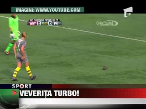 Un meci de fotbal feminin din America a fost intrerupt de o veverita