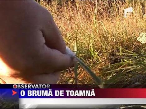 Toamna intarzie sa vina