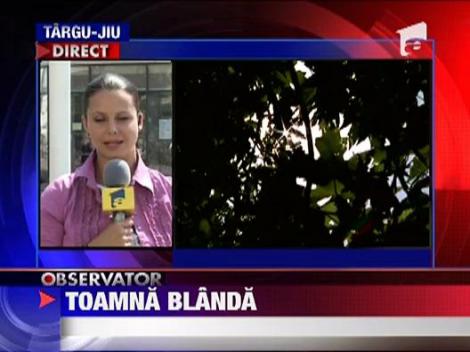 Vreme de vara in toata luna septembrie