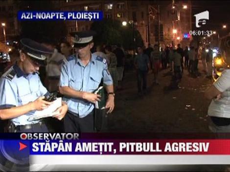 Centrul Ploiestiului, terorizat timp de doua ore de un pitbull