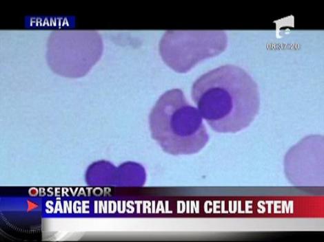 Sange uman din celule stem