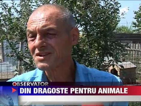 S-a mutat la tara ca sa creasca maidanezi