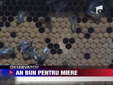 An bun pentru apicultori