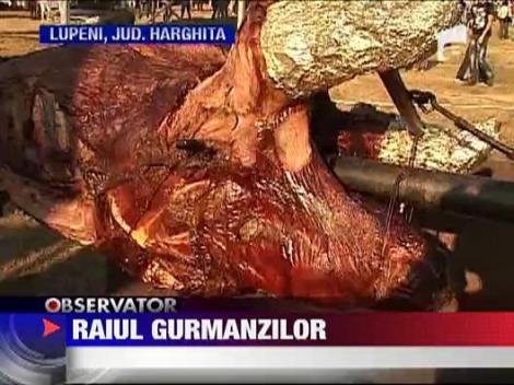 Festivalul Carbunelui din Harghita