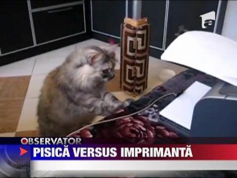 Pisica versus imprimanta