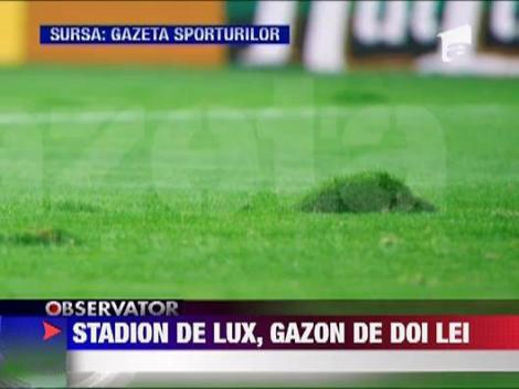 Afla de ce a cedat gazonul la meciul cu Franta