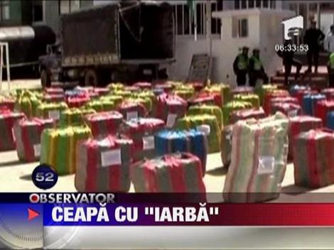 Droguri ascunse in cutii cu ceapa