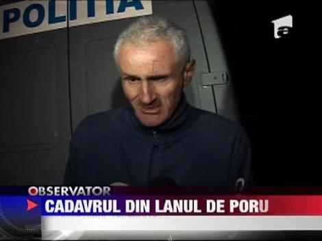 Cadavru gasit in lanul de porumb