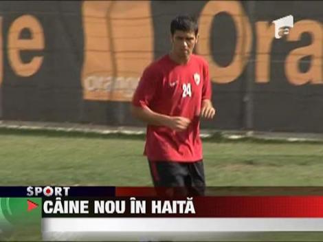 Sargian Luchin, cainele cel nou din haita