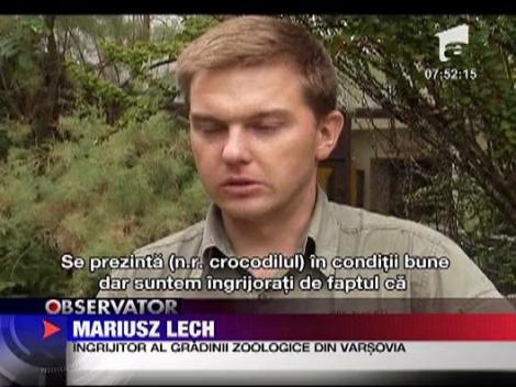 Pui de crocodil de Nil abandonat la gradina zoologica din Varsovia