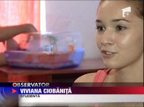 Conditii de patru stele la caminele private