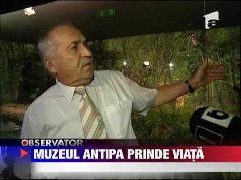 Muzeul Grigore Antipa  din Bucuresti se redeschide sambata
