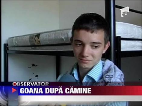Incepe febra cazarilor la camin