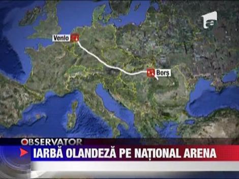 Iarba olandeza pe National Arena