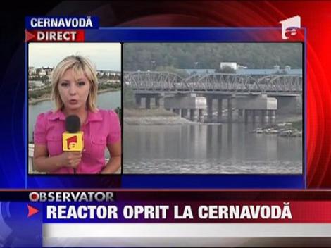 Un reactor al Centralei Nucleare de la Cernavoda va fi inchis ‎