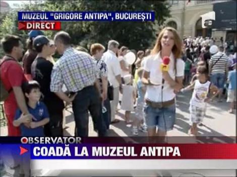 Coada la Muzeul Antipa