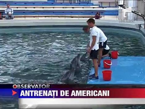 Vedetele delfinariului din Constanta, antrenati de americani