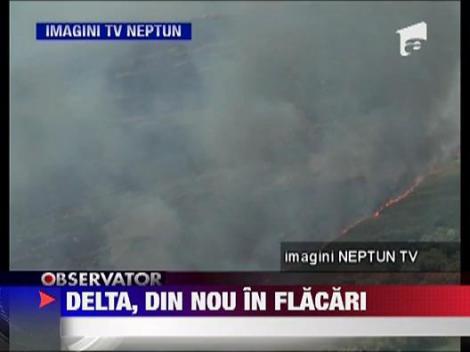 Delta, din nou in flacari