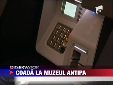 UPDATE /  Coada la Muzeul Antipa