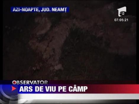 Ars de viu pe camp
