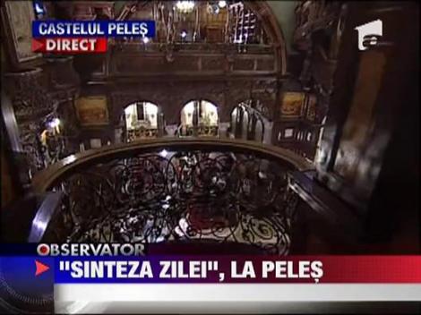 "Sinteza Zilei" la Peles