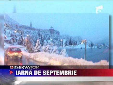 Austria e lovita de ninsori